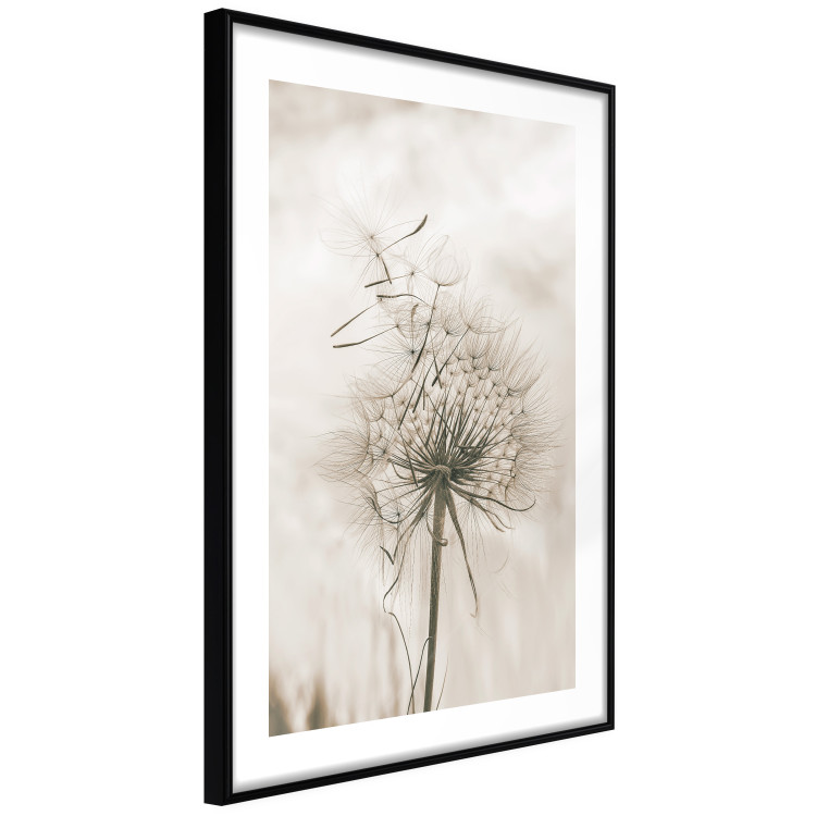 Poster Gentle Breeze - composition with a delicate light dandelion flower 135826 additionalImage 8