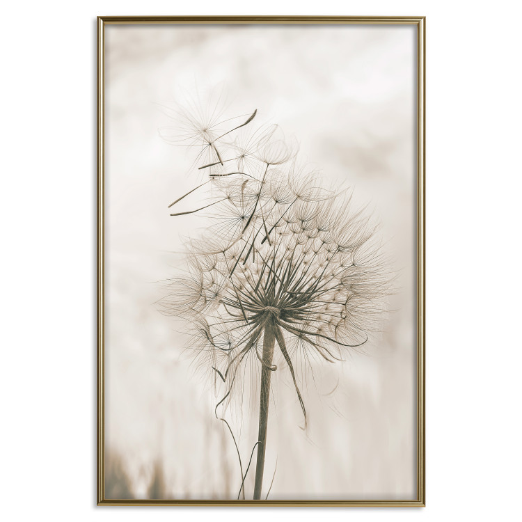 Poster Gentle Breeze - composition with a delicate light dandelion flower 135826 additionalImage 20