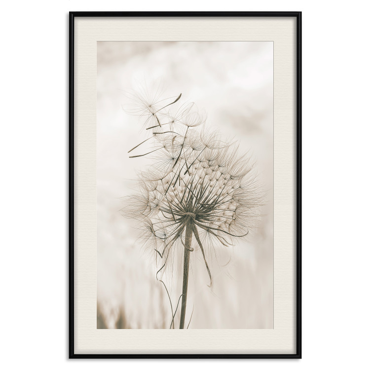 Poster Gentle Breeze - composition with a delicate light dandelion flower 135826 additionalImage 26