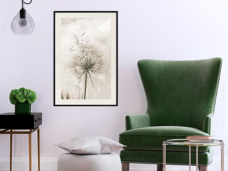Poster Gentle Breeze - composition with a delicate light dandelion flower 135826 additionalImage 15