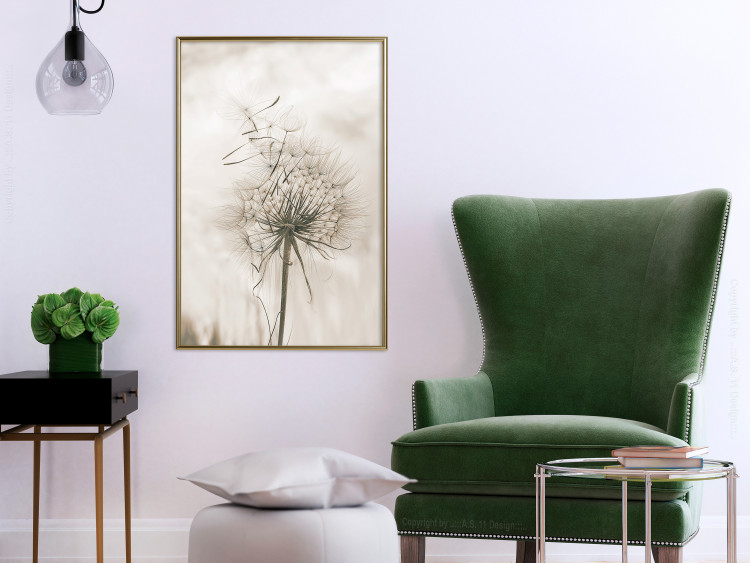 Poster Gentle Breeze - composition with a delicate light dandelion flower 135826 additionalImage 11