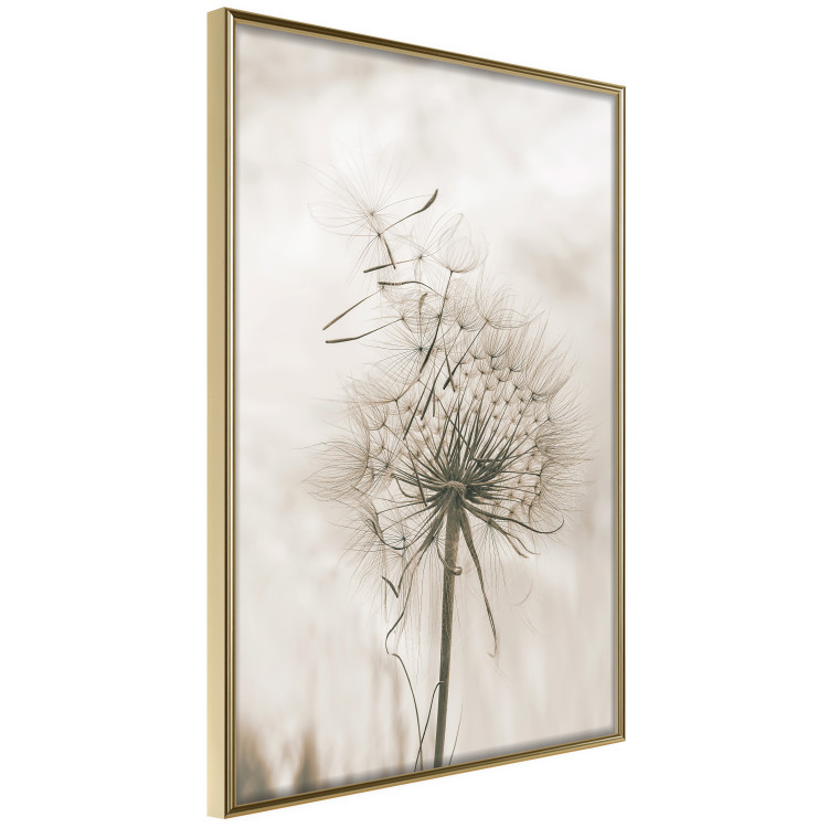 Poster Gentle Breeze - composition with a delicate light dandelion flower 135826 additionalImage 8