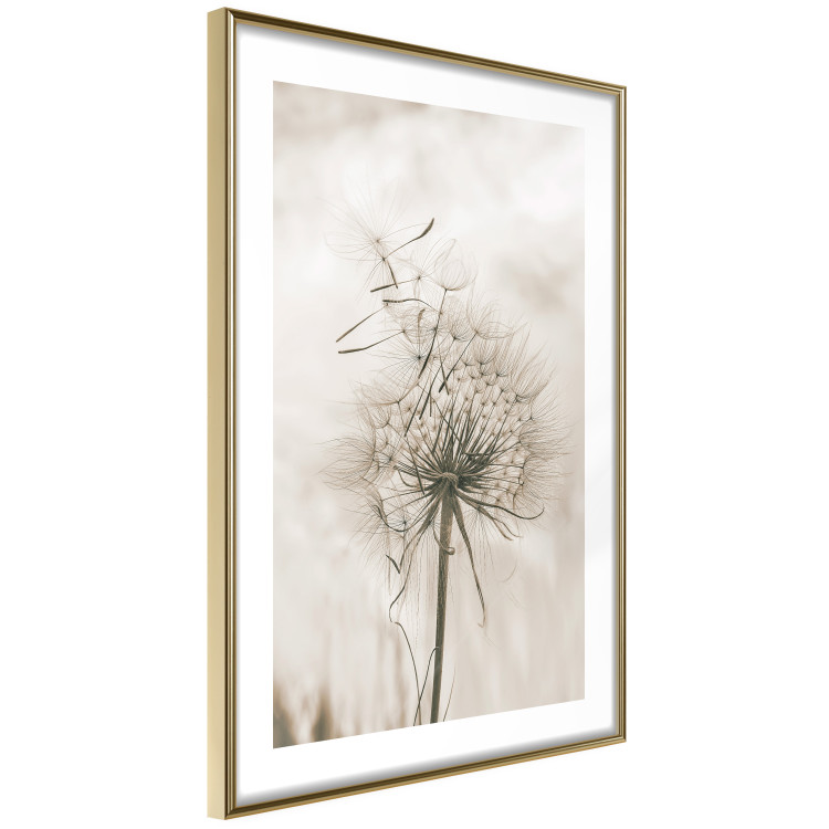 Poster Gentle Breeze - composition with a delicate light dandelion flower 135826 additionalImage 6