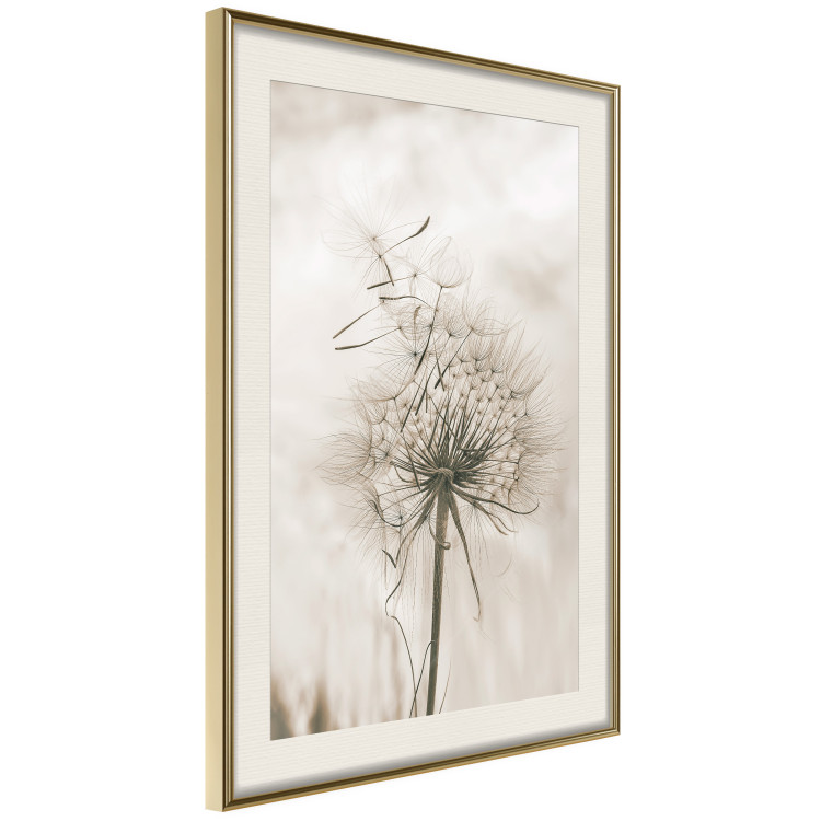 Poster Gentle Breeze - composition with a delicate light dandelion flower 135826 additionalImage 12