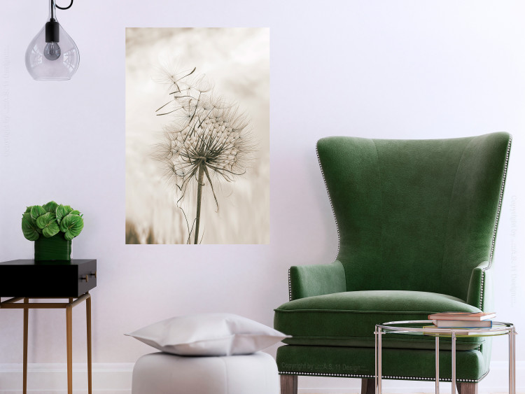 Poster Gentle Breeze - composition with a delicate light dandelion flower 135826 additionalImage 19