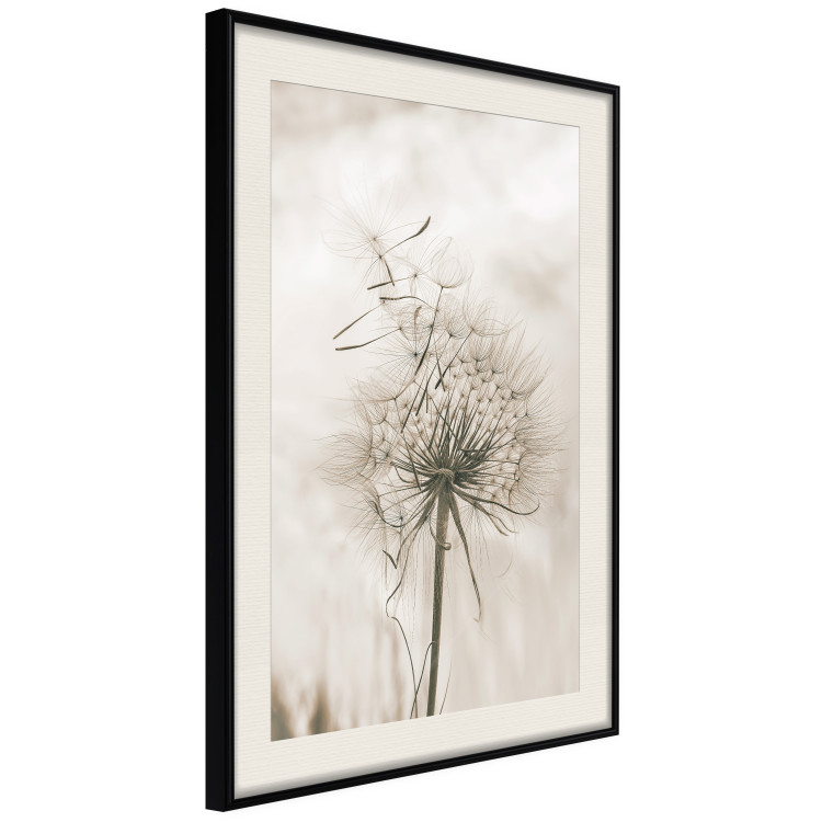 Poster Gentle Breeze - composition with a delicate light dandelion flower 135826 additionalImage 10