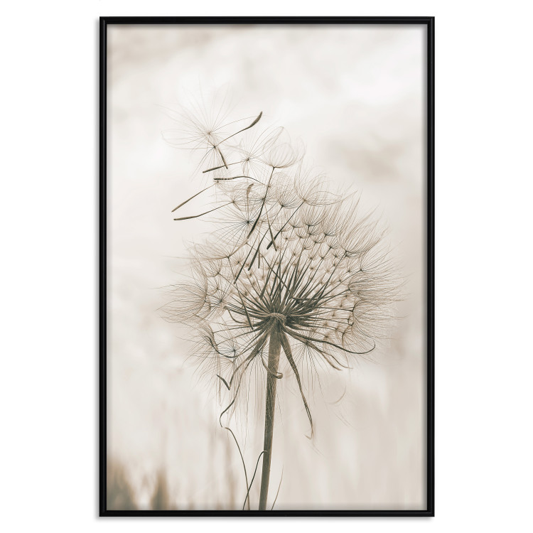 Poster Gentle Breeze - composition with a delicate light dandelion flower 135826 additionalImage 21