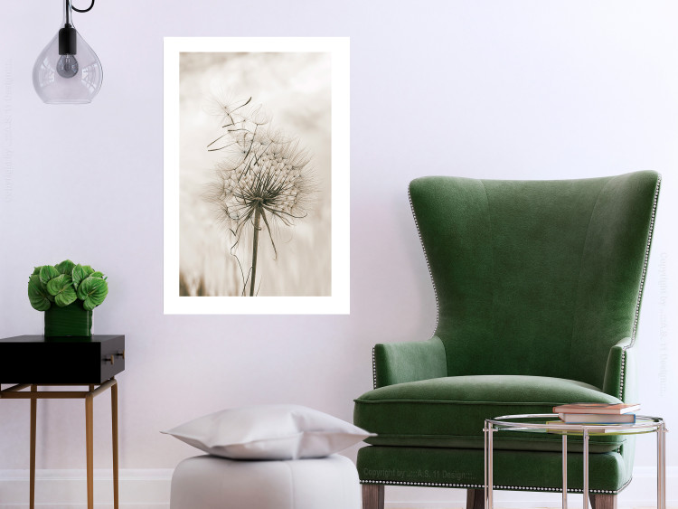Poster Gentle Breeze - composition with a delicate light dandelion flower 135826 additionalImage 14