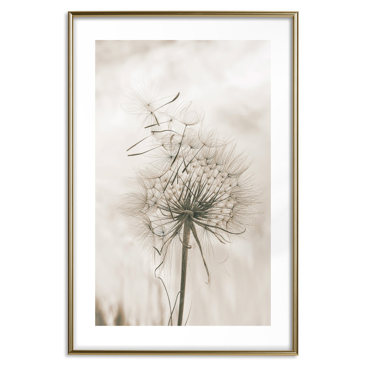 Poster Gentle Breeze - composition with a delicate light dandelion flower 135826 additionalImage 20