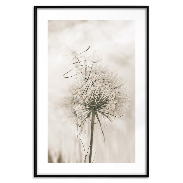 Poster Gentle Breeze - composition with a delicate light dandelion flower 135826 additionalImage 23
