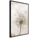 Poster Gentle Breeze - composition with a delicate light dandelion flower 135826 additionalThumb 3