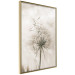 Poster Gentle Breeze - composition with a delicate light dandelion flower 135826 additionalThumb 8