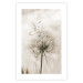 Poster Gentle Breeze - composition with a delicate light dandelion flower 135826 additionalThumb 19