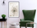 Poster Gentle Breeze - composition with a delicate light dandelion flower 135826 additionalThumb 16