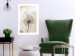 Poster Gentle Breeze - composition with a delicate light dandelion flower 135826 additionalThumb 14