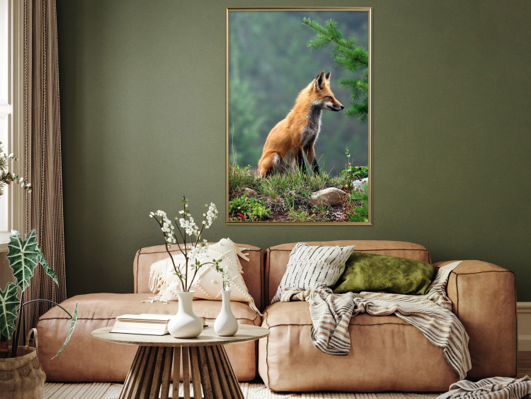 Wall Poster Red Hunter - majestic wild animal amidst forest on a blurred background 138726 additionalImage 13