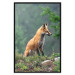 Wall Poster Red Hunter - majestic wild animal amidst forest on a blurred background 138726 additionalThumb 18