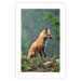 Wall Poster Red Hunter - majestic wild animal amidst forest on a blurred background 138726 additionalThumb 19