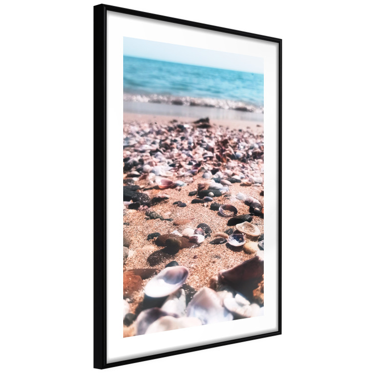 Wall Poster Summer Beach - Photo of Seashells on the Shore of the Blue Sea 146226 additionalImage 10