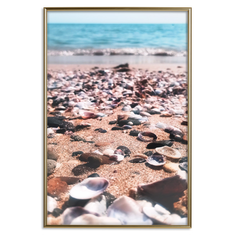 Wall Poster Summer Beach - Photo of Seashells on the Shore of the Blue Sea 146226 additionalImage 15