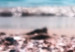 Wall Poster Summer Beach - Photo of Seashells on the Shore of the Blue Sea 146226 additionalThumb 2