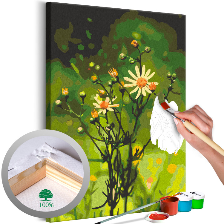 Paint by number Freshness of Nature - Delicate Summer Flower in a Green Meadow 146726