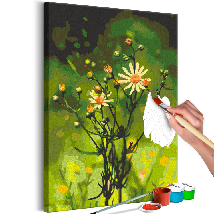 Paint by number Freshness of Nature - Delicate Summer Flower in a Green Meadow 146726 additionalImage 6