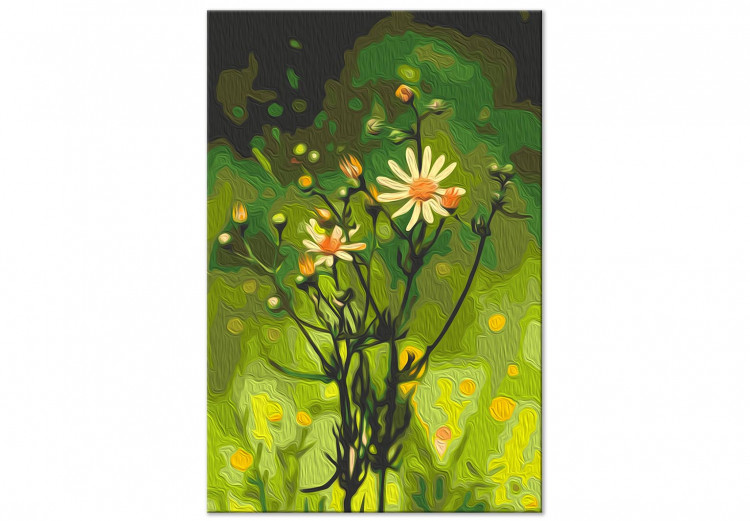 Paint by number Freshness of Nature - Delicate Summer Flower in a Green Meadow 146726 additionalImage 4