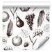Wallpaper Autumn Pattern - Monochrome Sketch of Fruits and Ears of Grain 149926 additionalThumb 1