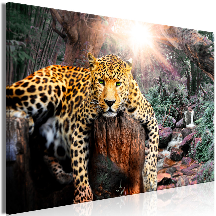 Large canvas print Wild Cat's Rest [Large Format] 150726 additionalImage 3