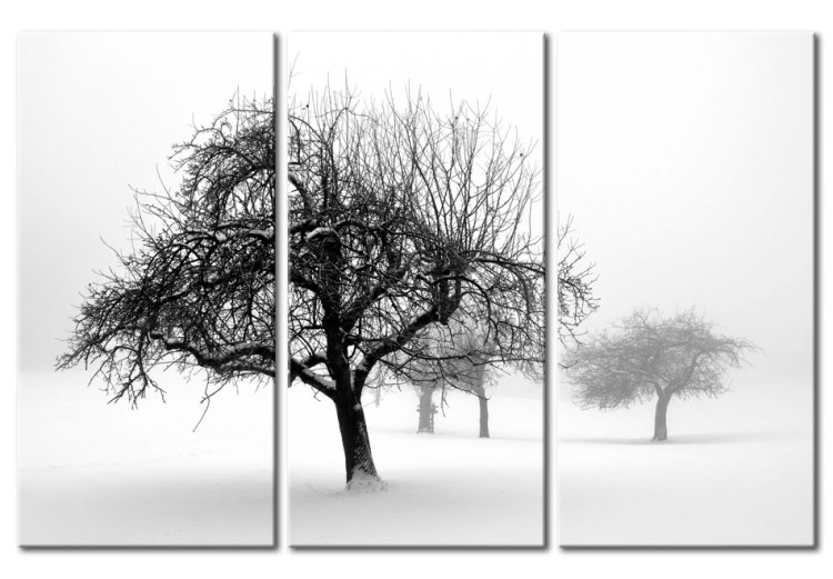 Canvas Trees submerged in white 58526