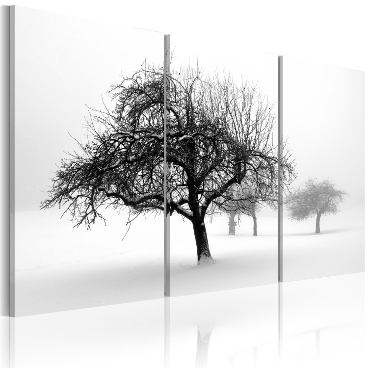 Canvas Trees submerged in white 58526 additionalImage 2