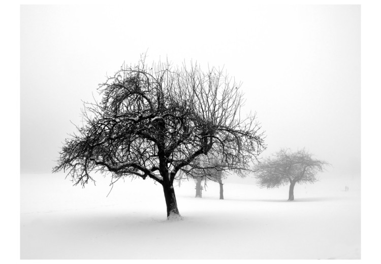 Photo Wallpaper Winter: Trees 60426 additionalImage 1