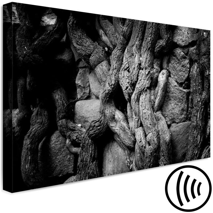 Canvas Old Roots - a black and white photograph of stones and roots 115036 additionalImage 6
