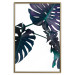 Poster Evergreen - composition with dark tropical leaves on a white background 115136 additionalThumb 20