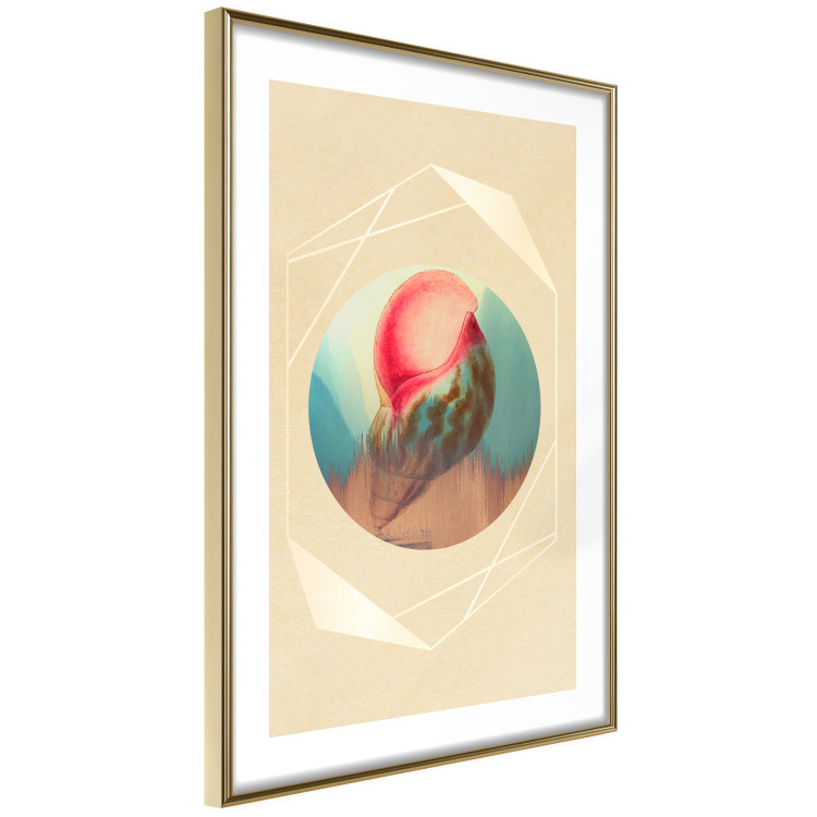 Wall Poster Colorful Shell - colorful snail shell on a geometric beige background 116636 additionalImage 8
