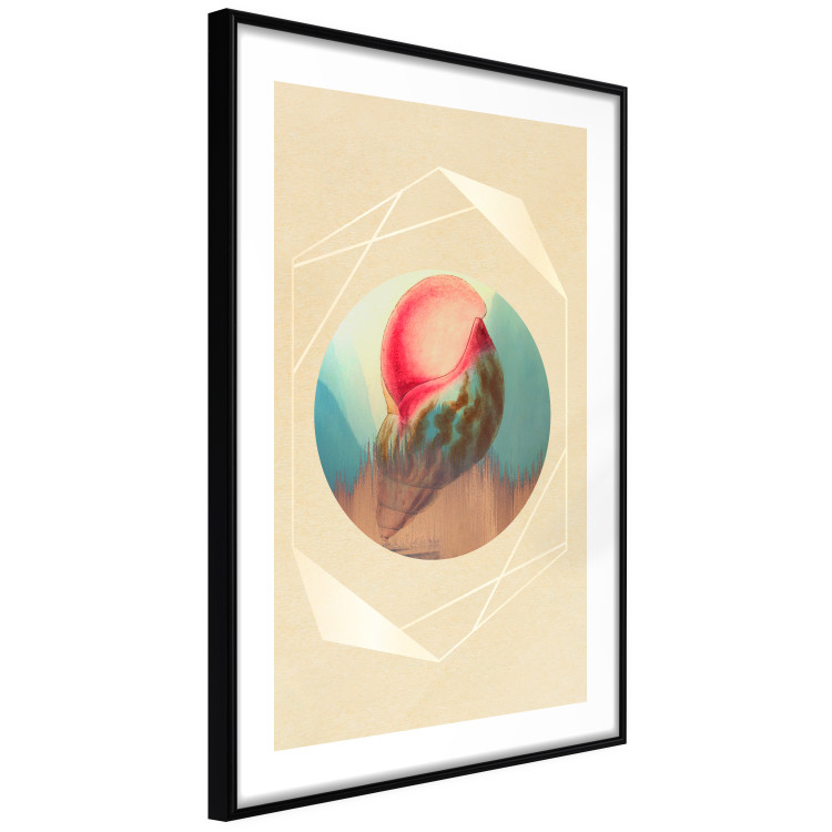 Wall Poster Colorful Shell - colorful snail shell on a geometric beige background 116636 additionalImage 13