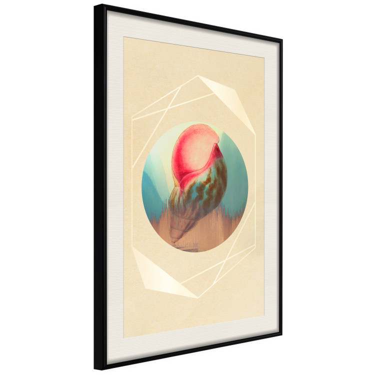 Wall Poster Colorful Shell - colorful snail shell on a geometric beige background 116636 additionalImage 3