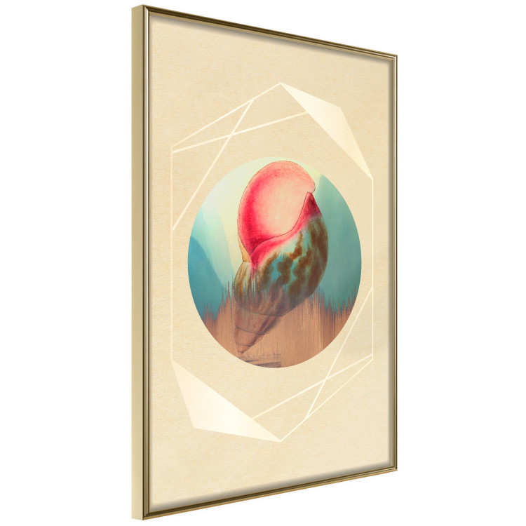 Wall Poster Colorful Shell - colorful snail shell on a geometric beige background 116636 additionalImage 14