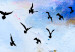 Canvas Print Bird flight - triptych with a sky landscape, birds and rays of the sun 123436 additionalThumb 4