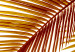 Poster Golden Locks - golden-colored leaf spots on contrasting background 123936 additionalThumb 9