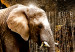 Large canvas print Brown Elephants [Large Format] 125436 additionalThumb 4