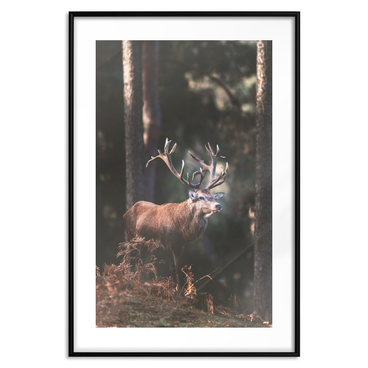 Wall Poster Forest Nobleman - landscape of a forest scene with a deer against trees 126836 additionalImage 15
