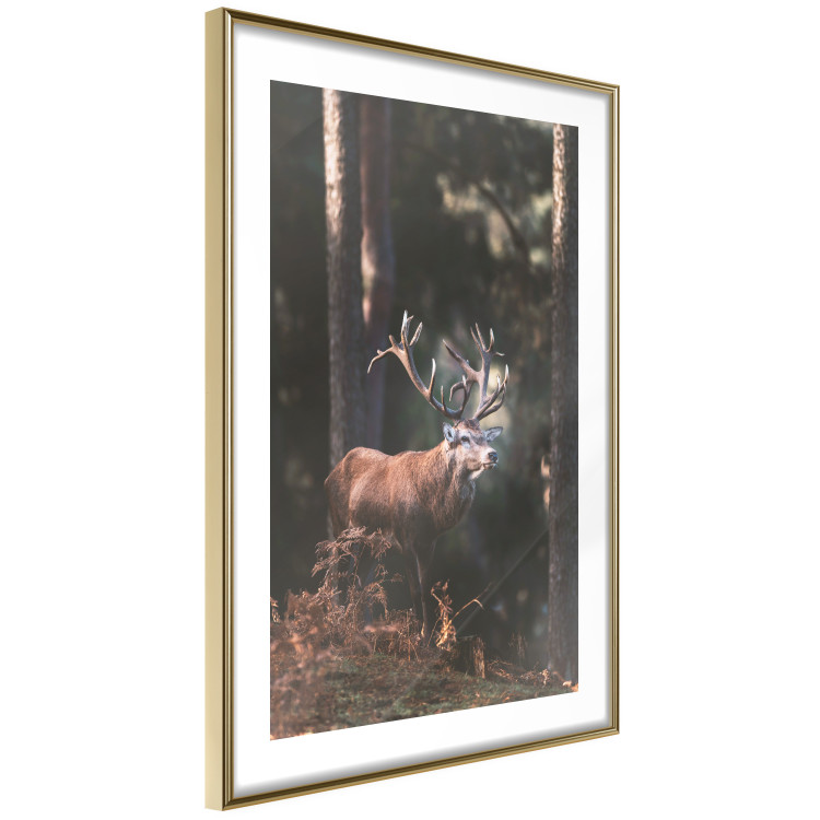 Wall Poster Forest Nobleman - landscape of a forest scene with a deer against trees 126836 additionalImage 8