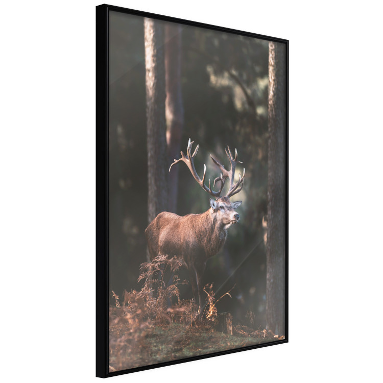 Wall Poster Forest Nobleman - landscape of a forest scene with a deer against trees 126836 additionalImage 11