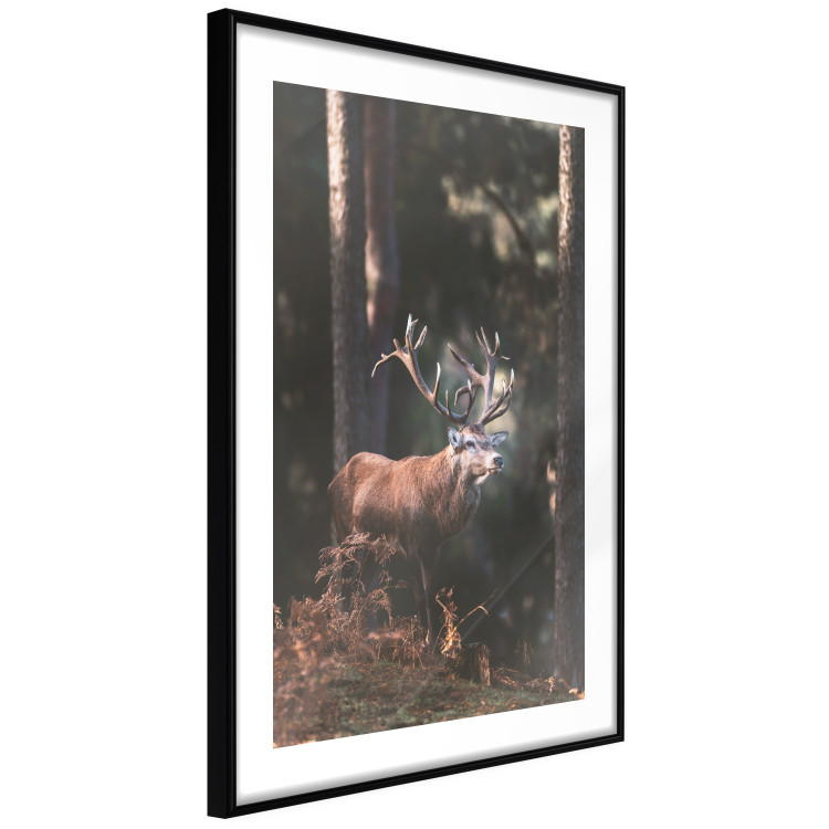 Wall Poster Forest Nobleman - landscape of a forest scene with a deer against trees 126836 additionalImage 12