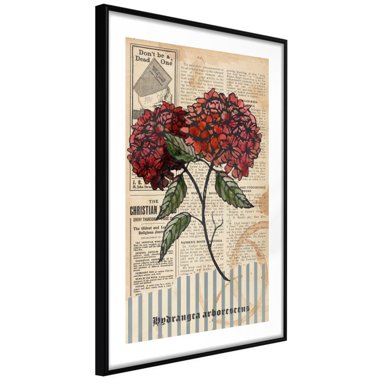 Wall Poster Morning Flowers - vintage composition with blooming plant against text 129436 additionalImage 8