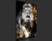 Canvas Print King in Gold (1-part) vertical - fantastical lion on a dark background 129536 additionalThumb 4