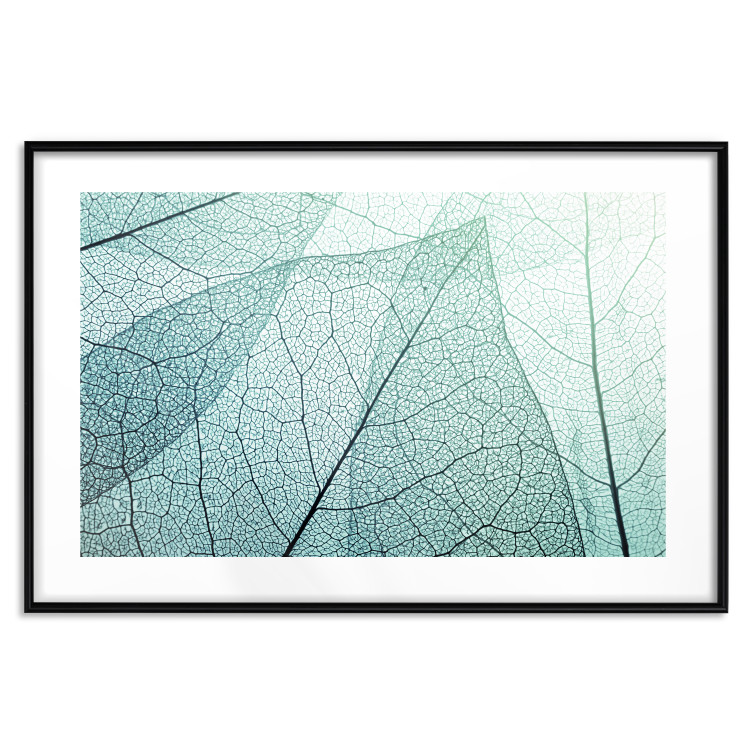 Wall Poster Macro Flora - abstract translucent turquoise leaf 129836 additionalImage 17