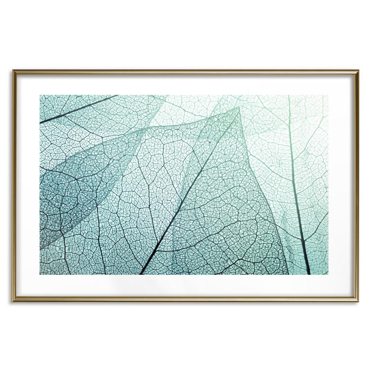 Wall Poster Macro Flora - abstract translucent turquoise leaf 129836 additionalImage 14